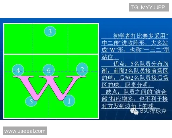 成都排球队反击战术分析与比赛得失总结